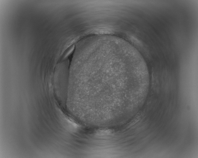 X0000062170202200512231635