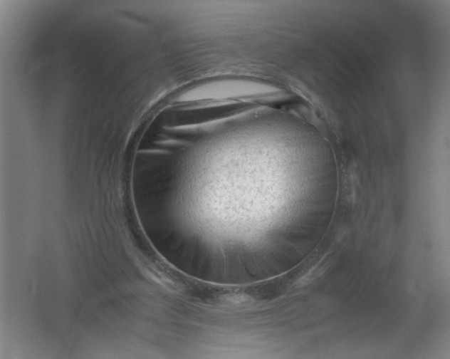 X0000062170203200512231635