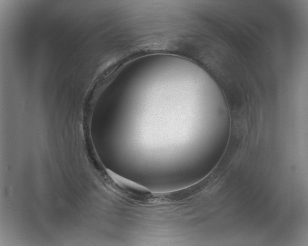 X0000062170207200512231635