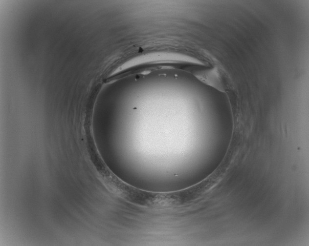 X0000062170209200512231635