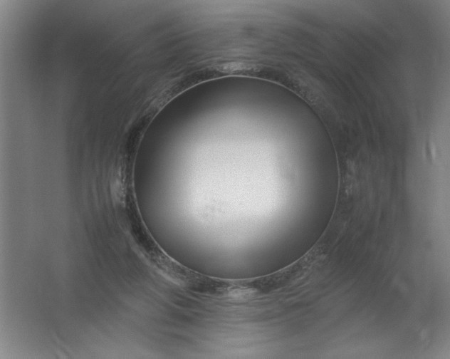 X0000062170210200512231635