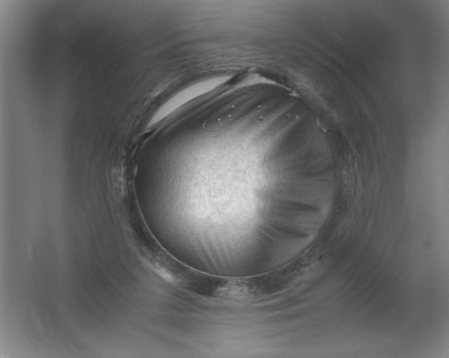 X0000062170211200512231635