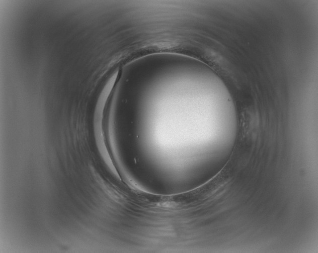 X0000062170212200512231635