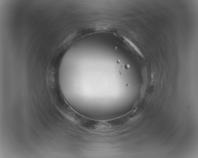 X0000062170215200512231635