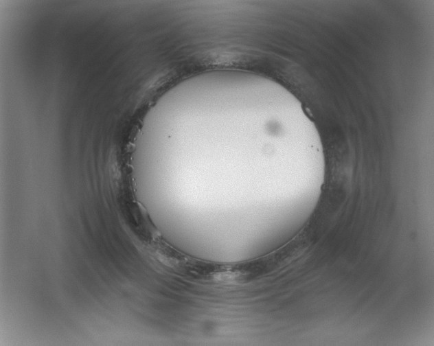 X0000062170216200512231635