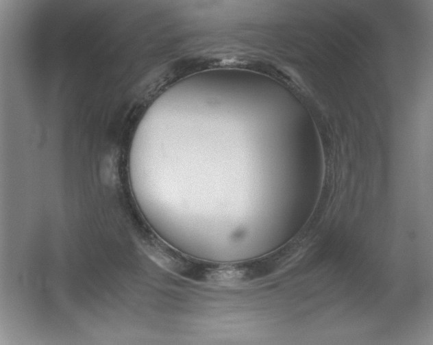 X0000062170217200512231635