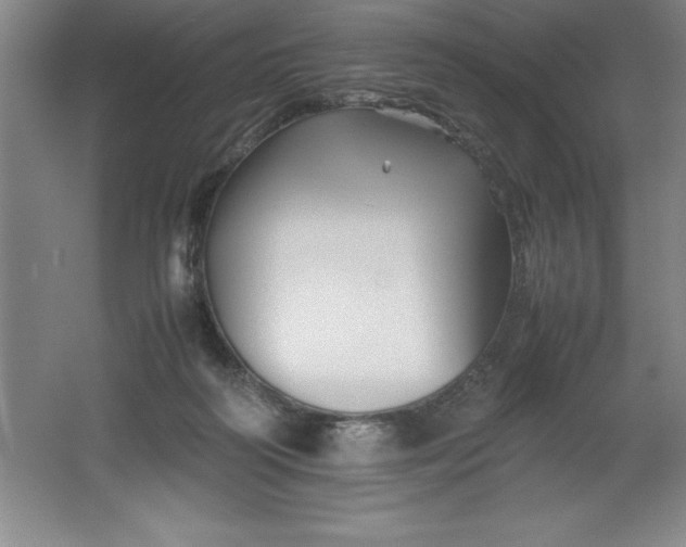 X0000062170218200512231635