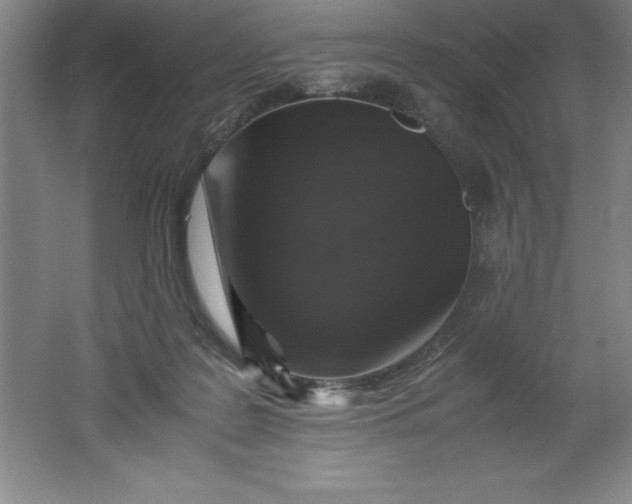 X0000062170219200512231635