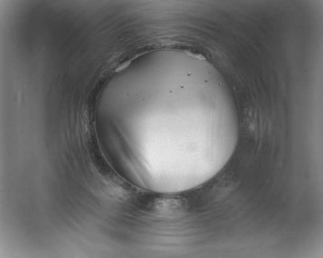 X0000062170220200512231635