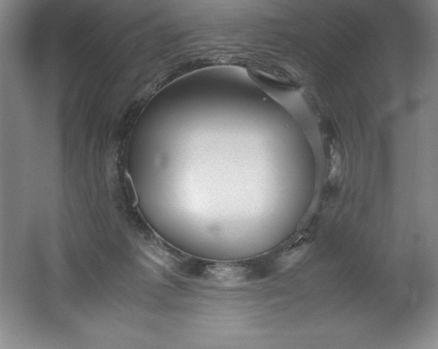 X0000062170221200512231635