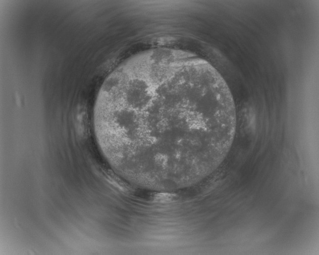 X0000062170222200512231635