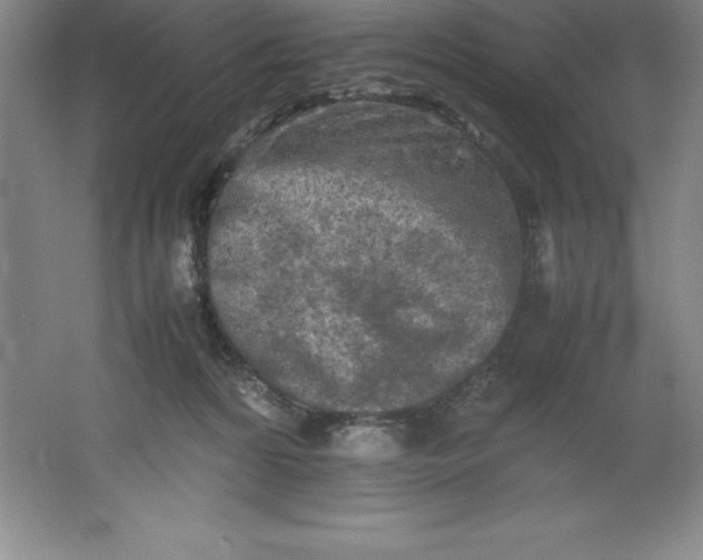 X0000062170224200512231635