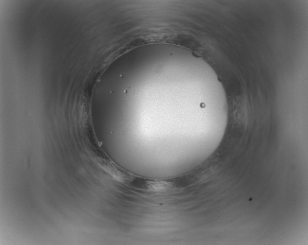 X0000062170226200512231635