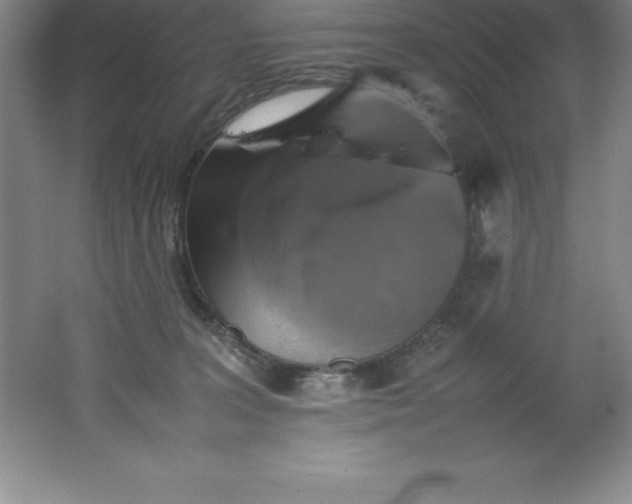 X0000062170227200512231635