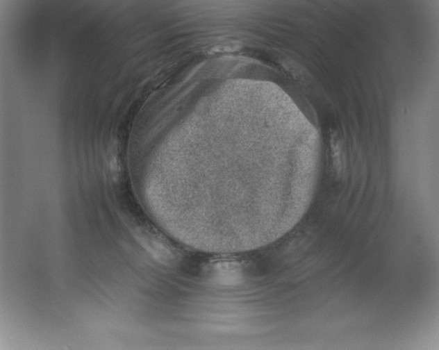 X0000062170228200512231635