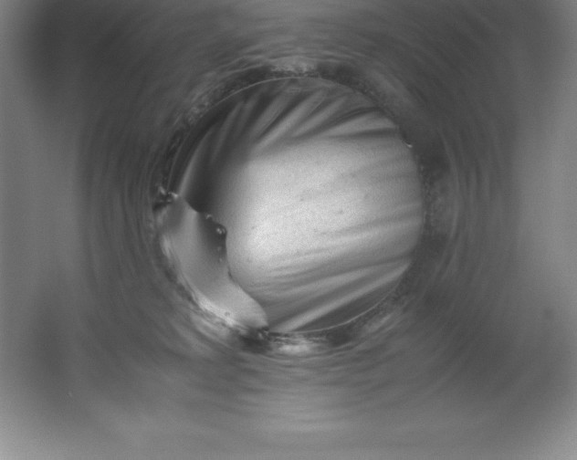 X0000062170229200512231635