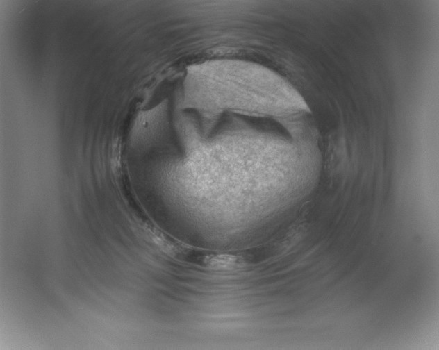 X0000062170230200512231635