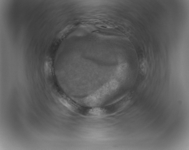 X0000062170231200512231635