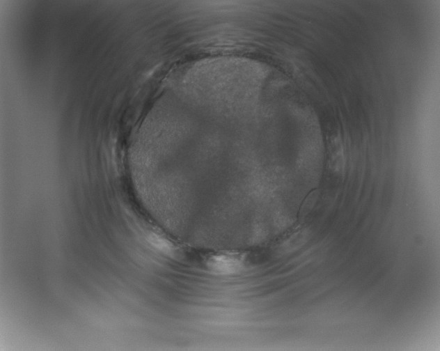 X0000062170232200512231635