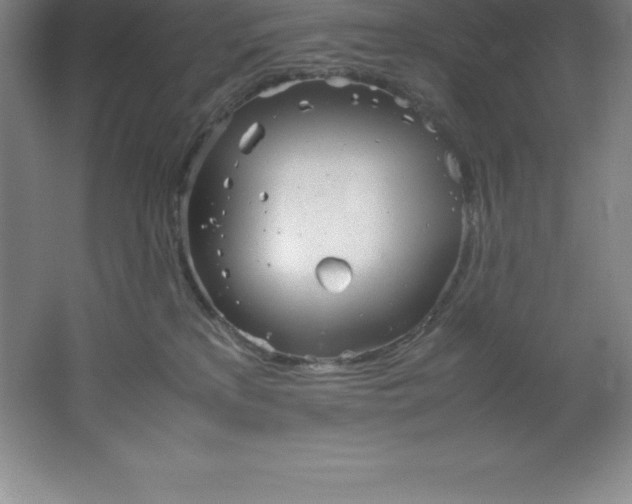 X0000062170233200512231634