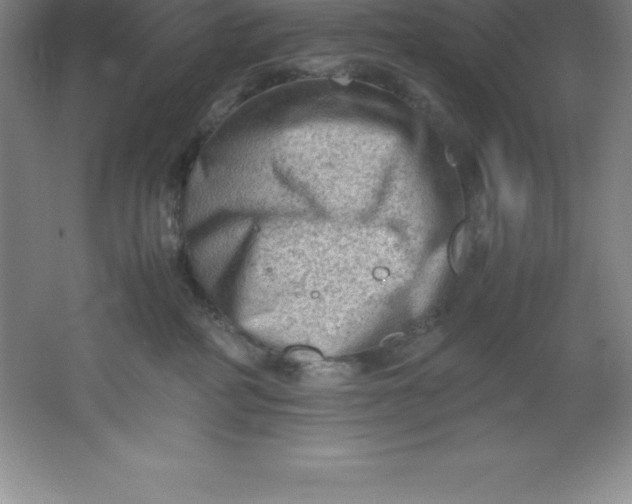 X0000062170234200512231634