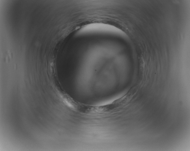 X0000062170235200512231634