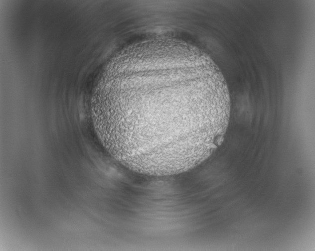 X0000062170236200512231634