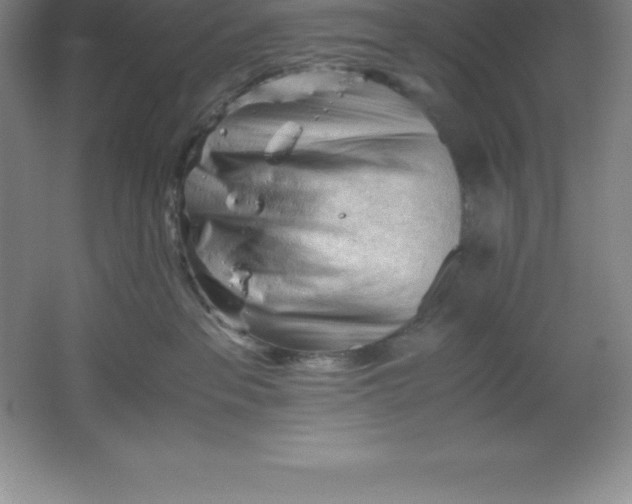 X0000062170237200512231634