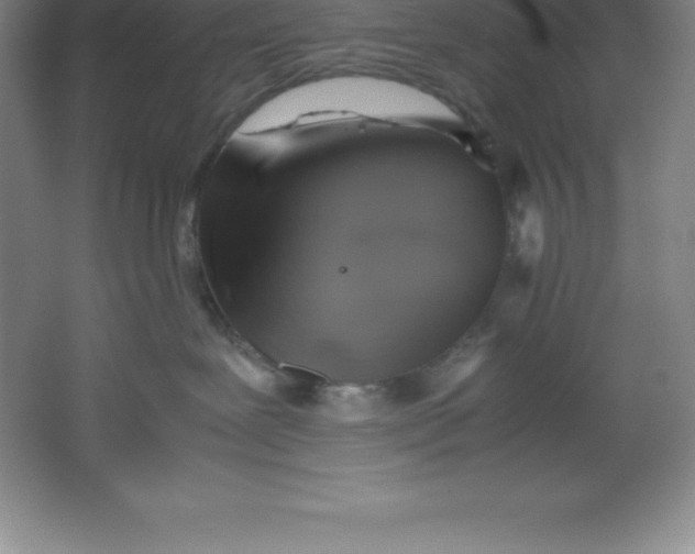 X0000062170239200512231634