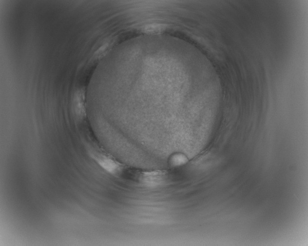 X0000062170240200512231634