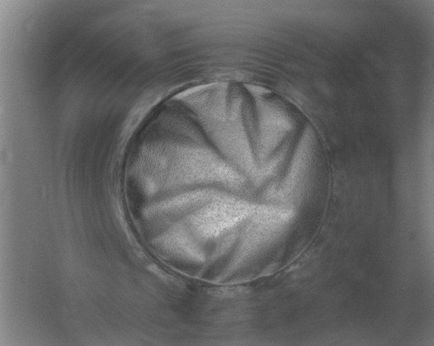 X0000062170241200512231634