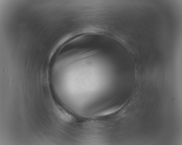 X0000062170244200512231634