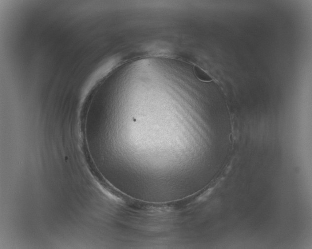 X0000062170245200512231634