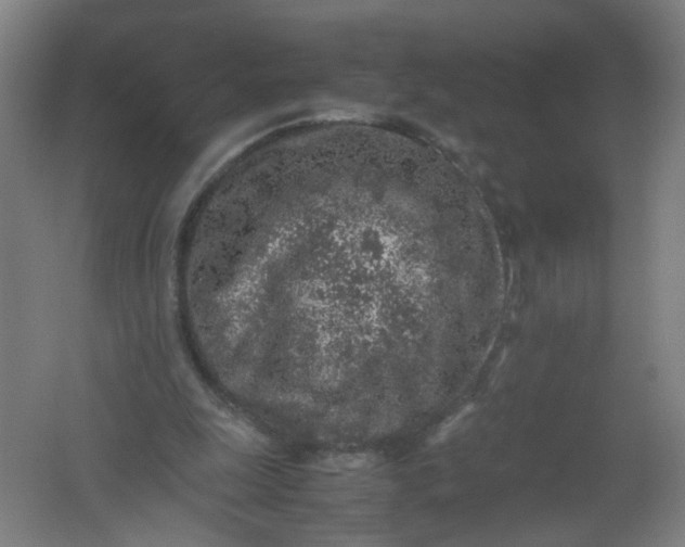 X0000062170247200512231634