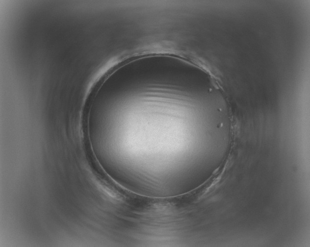 X0000062170248200512231634