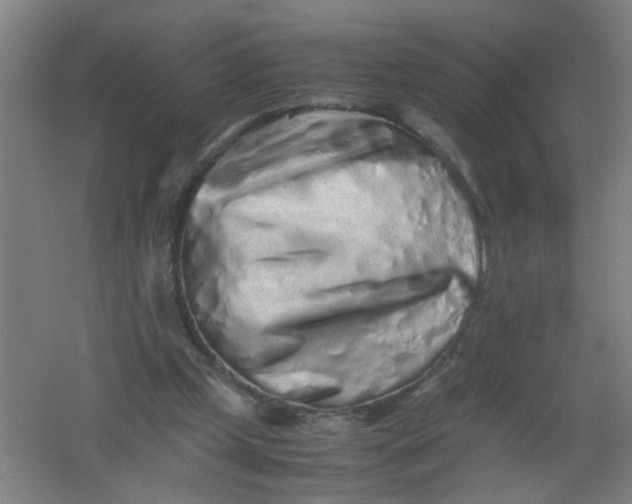 X0000062170249200512231634