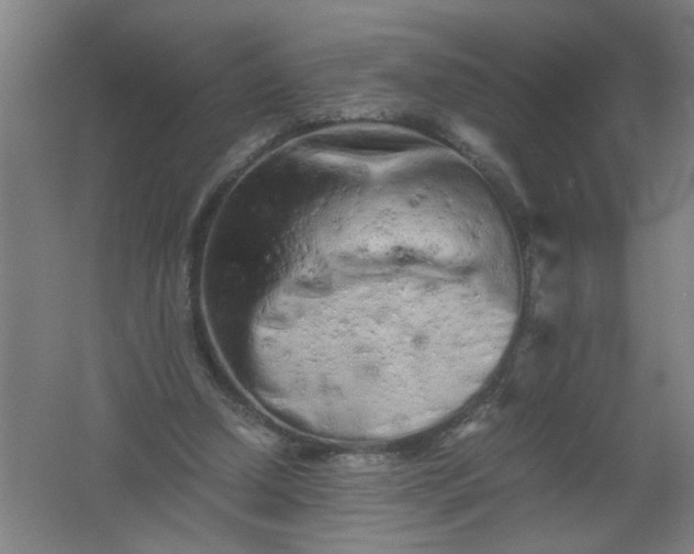 X0000062170250200512231634