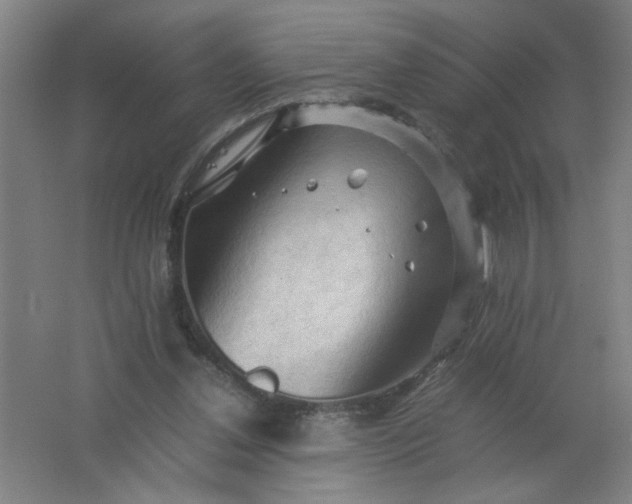 X0000062170252200512231634