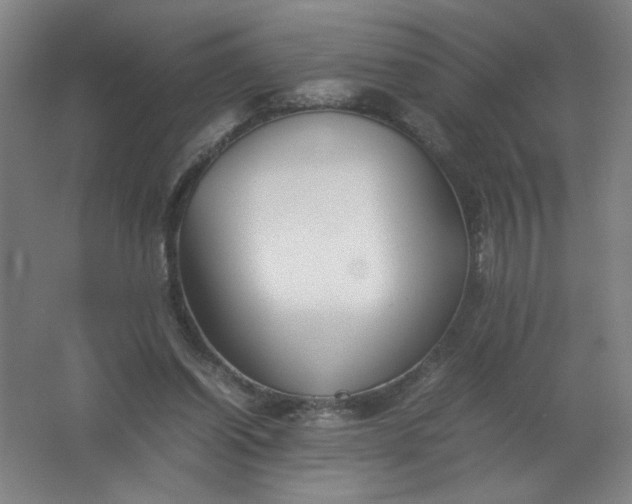 X0000062170254200512231634