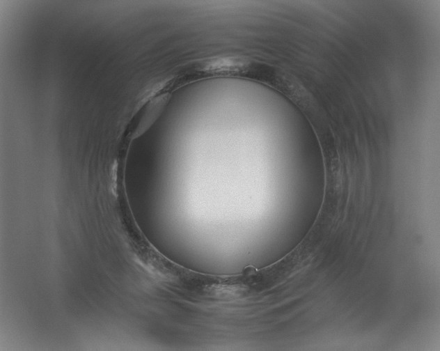 X0000062170255200512231634