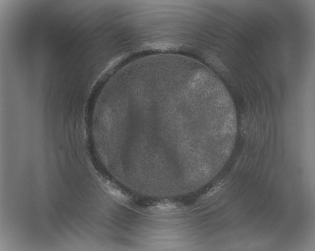 X0000062170256200512231634