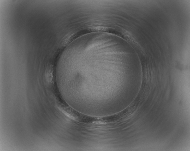 X0000062170259200512231634