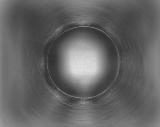 X0000062170260200512231634