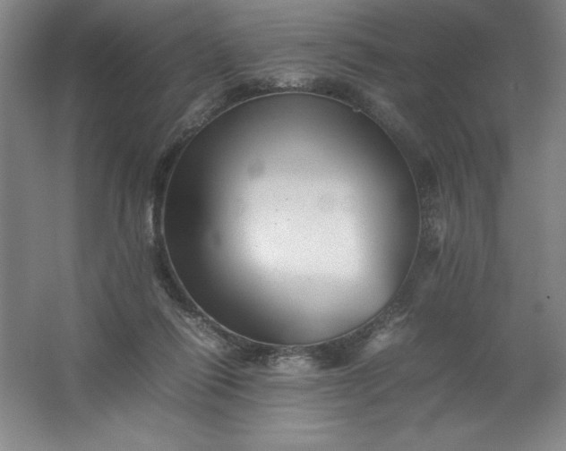 X0000062170262200512231634