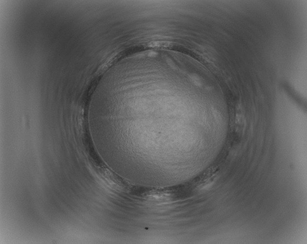 X0000062170263200512231634