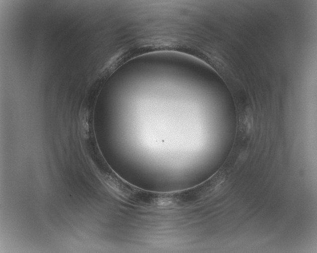 X0000062170264200512231634