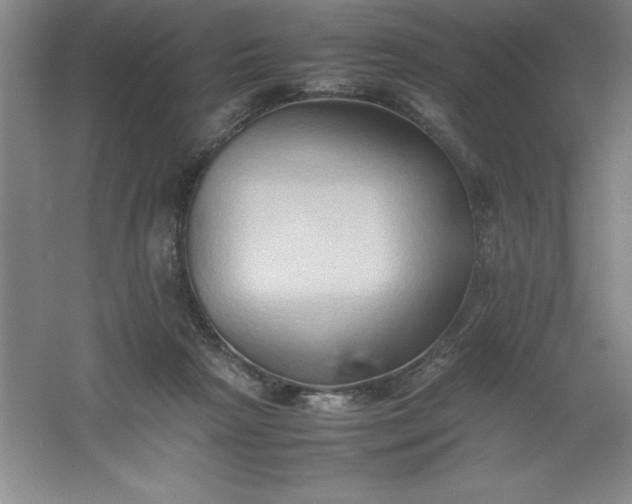 X0000062170265200512231634