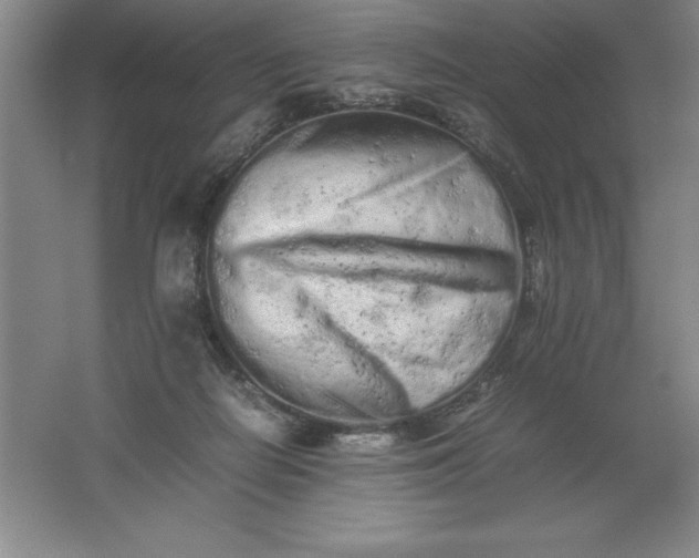 X0000062170266200512231634