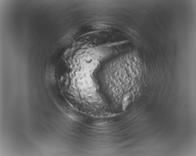 X0000062170267200512231634