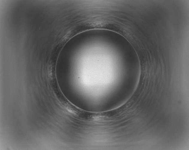 X0000062170268200512231634